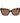 Polaroid Brown Plastic Sunglasses