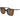Polaroid Brown Plastic Sunglasses