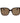 Polaroid Brown Plastic Sunglasses