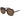 Polaroid Brown Plastic Sunglasses