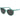 Polaroid Bicolor Plastic Sunglasses