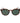 Polaroid Brown Plastic Sunglasses