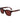 Ferragamo Brown Injected Sunglasses