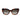 Ferragamo Brown Acetate Sunglasses