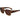 Ferragamo Brown Acetate Sunglasses