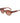 Lacoste Brown Injected Sunglasses
