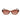 Lacoste Brown Injected Sunglasses