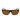 Lacoste Brown Injected Sunglasses