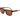 Lacoste Brown Injected Sunglasses