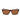 Lacoste Brown Injected Sunglasses