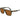 Lacoste Brown Injected Sunglasses