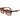 Lacoste Brown Injected Sunglasses