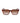 Lacoste Brown Injected Sunglasses