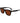 Lacoste Black Acetate Sunglasses