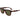Lacoste Brown Acetate Sunglasses