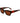 Longchamp Brown Acetate Sunglasses