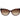 Max Mara Brown Acetate Sunglasses
