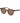 Max Mara Brown Acetate Sunglasses