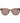 Max Mara Brown Acetate Sunglasses