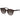 Max Mara Brown Acetate Sunglasses