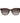 Max Mara Brown Acetate Sunglasses