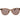 Max Mara Brown Acetate Sunglasses