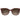 Tommy Hilfiger Burgundy Acetate Glasses (Frames)