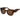 Replay Brown Acetate Sunglasses
