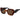 Replay Multicolor Acetate Sunglasses