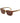 Gant Multicolor Plastic Sunglasses