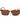 Gant Multicolor Plastic Sunglasses