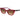 Guess Multicolor Plastic Sunglasses