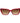 Guess Multicolor Plastic Sunglasses