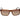 Timberland Brown Acetate Sunglasses