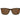Carrera Brown Plastic Glasses (Frames)