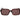 GCDS Brown Plastic Sunglasses