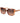 Marciano by Guess Multicolor Plastic Sunglasses