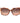 Marciano by Guess Multicolor Plastic Sunglasses