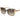 Marciano by Guess Multicolor Plastic Sunglasses