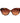 Max & Co Multicolor Plastic Sunglasses