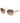 Marciano by Guess Beige Plastic Sunglasses