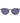 Carrera Ducati Gray Aluminum Sunglasses