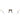 Andy Wolf Transparent Acetate Glasses (Frames)