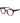 Polaroid Multicolor Polyamide Glasses (Frames)