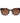 Guess Brown Plastic Sunglasses