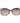 Guess Black Plastic Sunglasses
