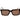 Guess Brown Acetate Sunglasses