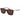 Gant Brown Acetate Sunglasses