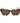 Gant Brown Acetate Sunglasses