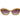 Guess Brown Plastic Sunglasses